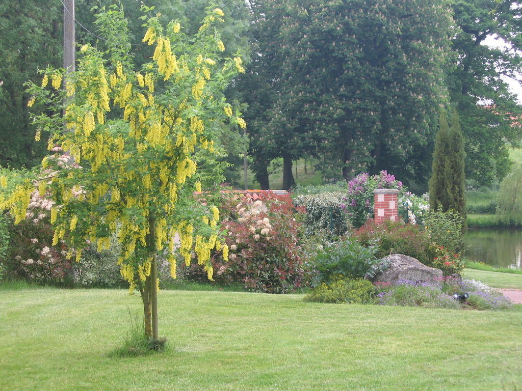 Bed and Breakfast La Minaudière à Nueil-sous-les-Aubiers Extérieur photo