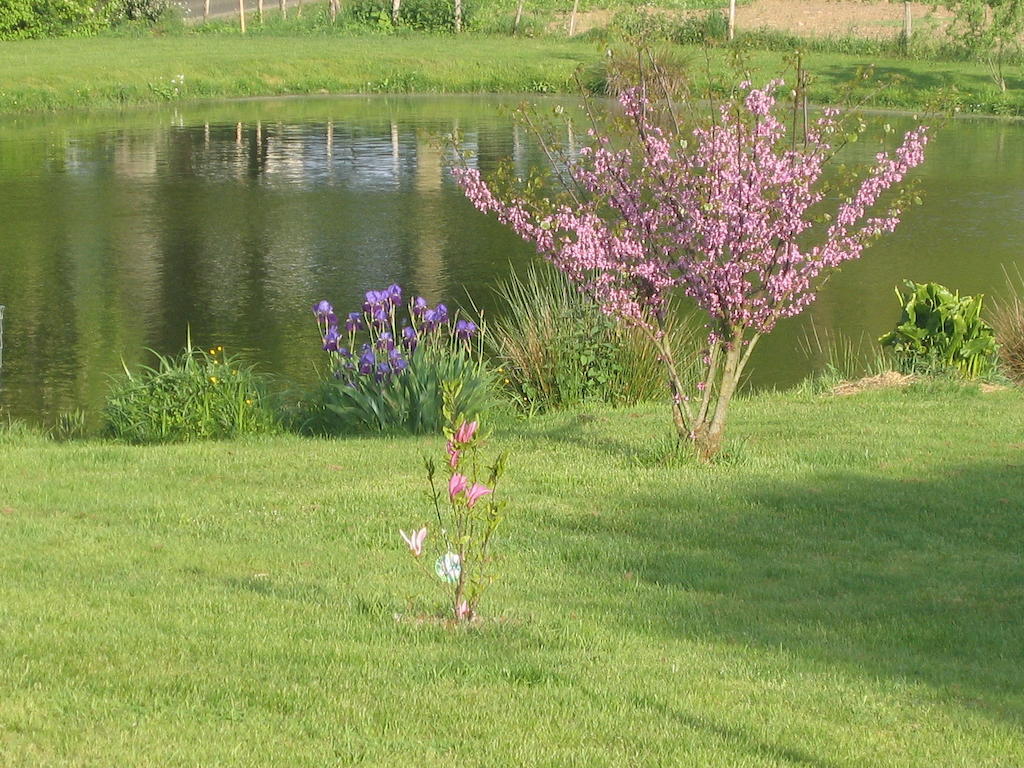 Bed and Breakfast La Minaudière à Nueil-sous-les-Aubiers Extérieur photo